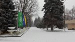 Московские школьники завоевывают до 30% от общего числа медалей на международных олимпиадах